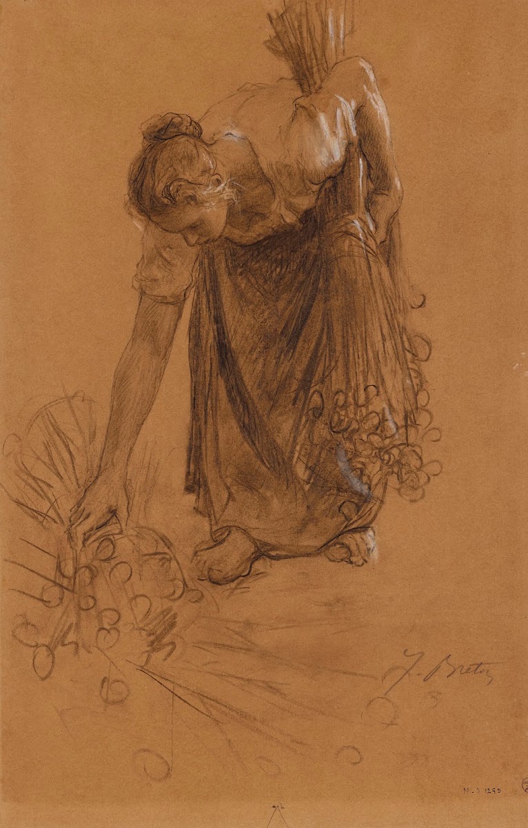 Paysanne ramassant une gerbe dœillettes 1895 1896