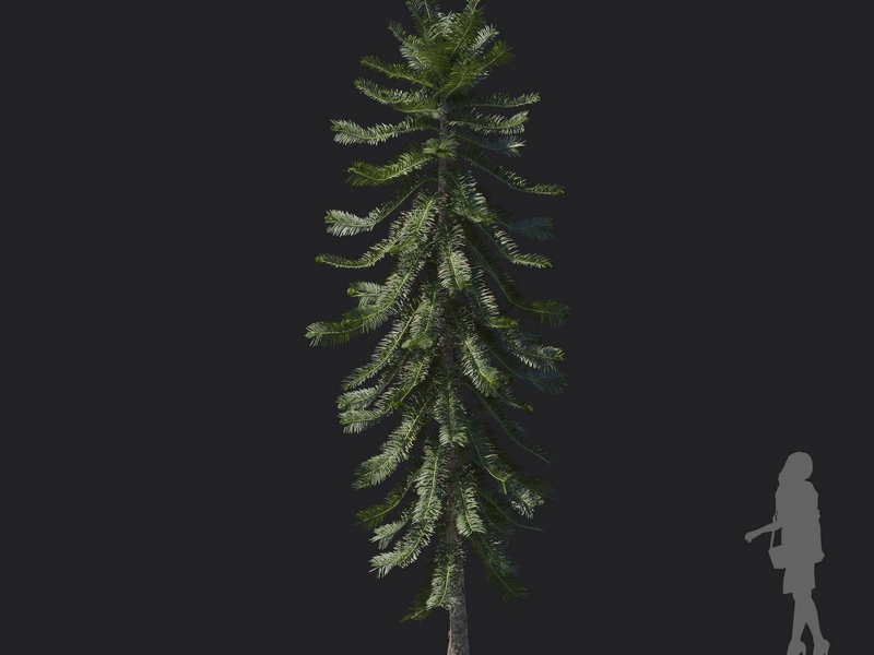 Maxtree - Plant Models Vol.121