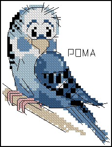 CMP RIO044 Pattern