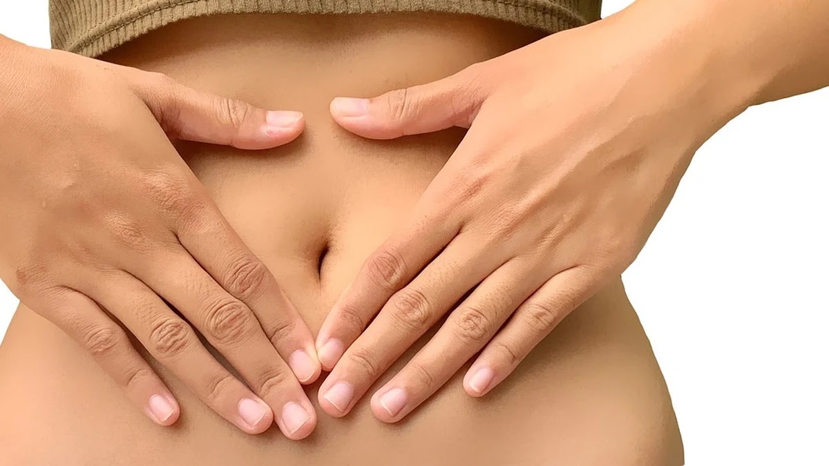 프로바이오틱스 종류별 건강 효과와 복용 팁