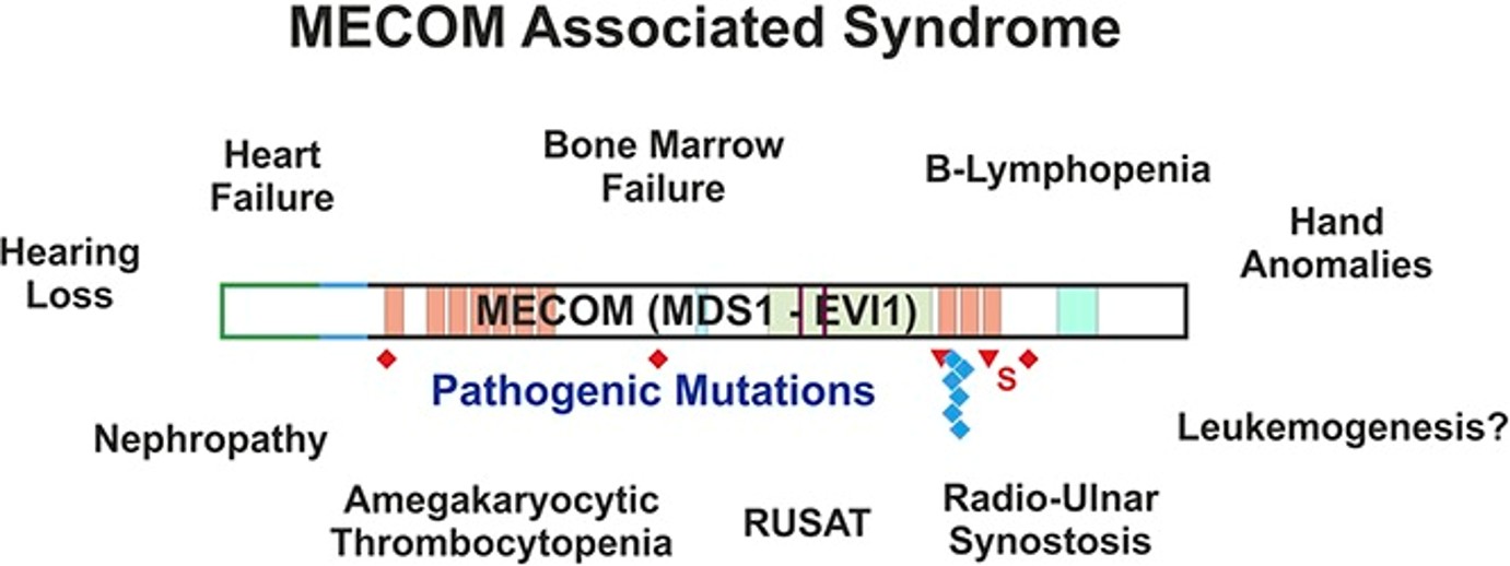 Improving Detection of Variant MECOM Rearrangements Through Optical Genome Mapping and Repurposed Targeted RNA-Seq