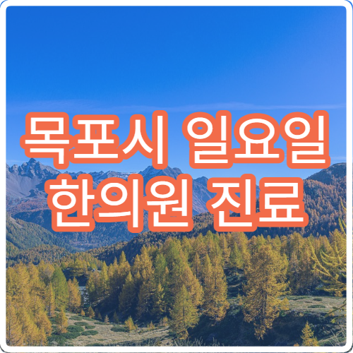 목포시 일요일 한의원 진료 병원 – 허리, 어깨 통증 및 한방 치료 주말 진료 안내