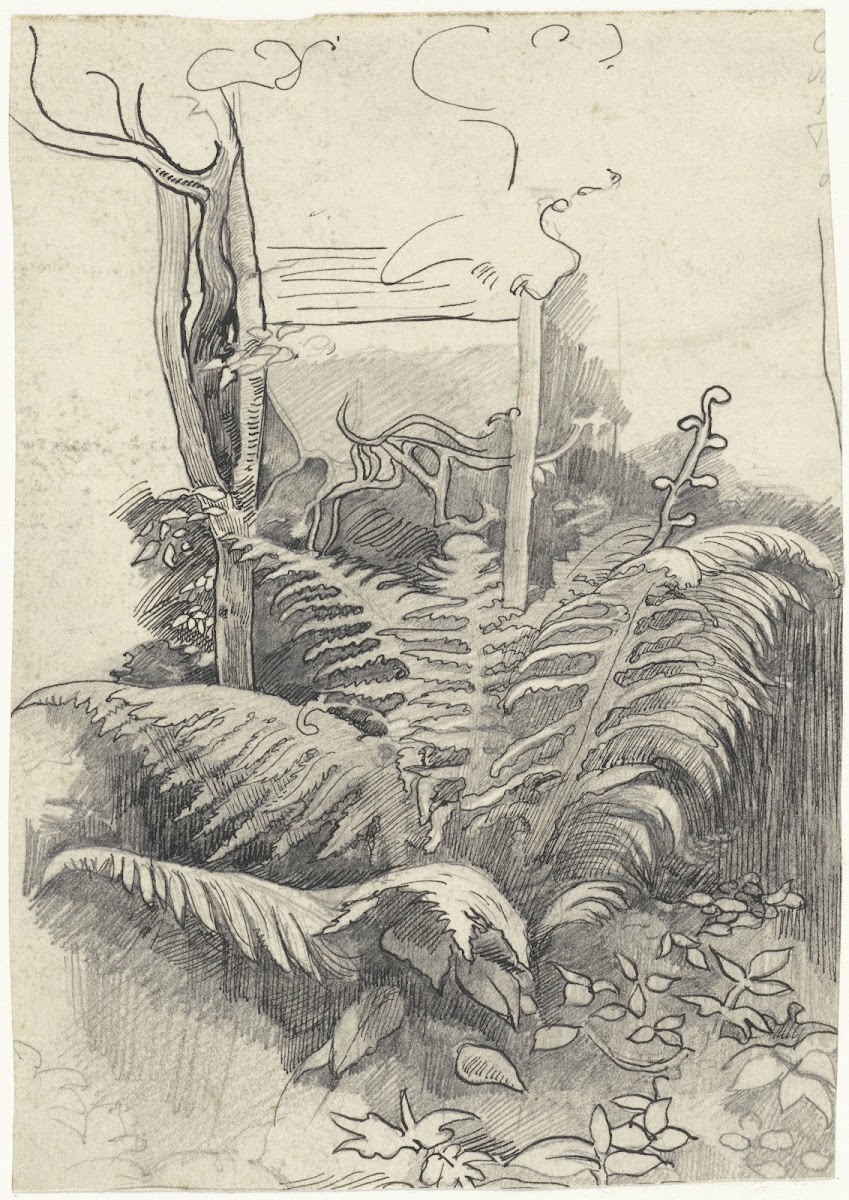 Fern 1878   1938
