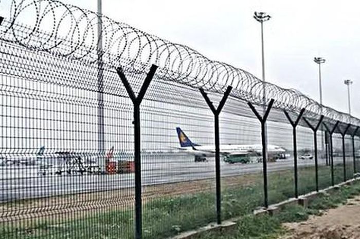 Nguy cơ mất an toàn hàng không từ động vật lọt vào khu bay - Báo Sức Khỏe &amp; Đời Sống