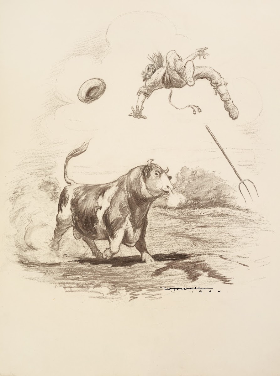 A farmer is tossed into the air by a large bull 1900