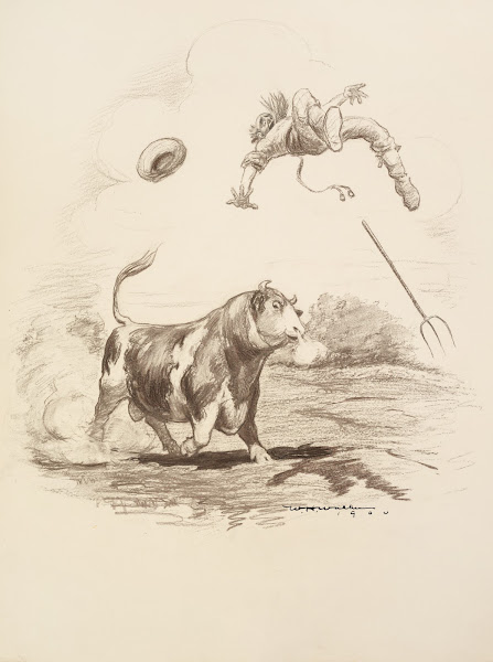 A farmer is tossed into the air by a large bull 1900