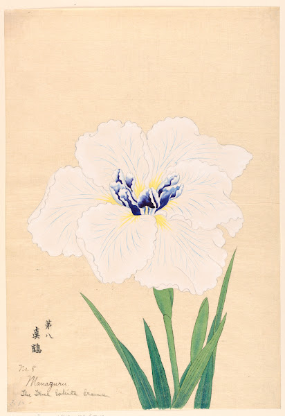 The True White Crane Manazuru 1910