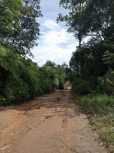 Tanah Pertanian Batu 22 Sungai Lui, Hulu Langat — foto 2/8