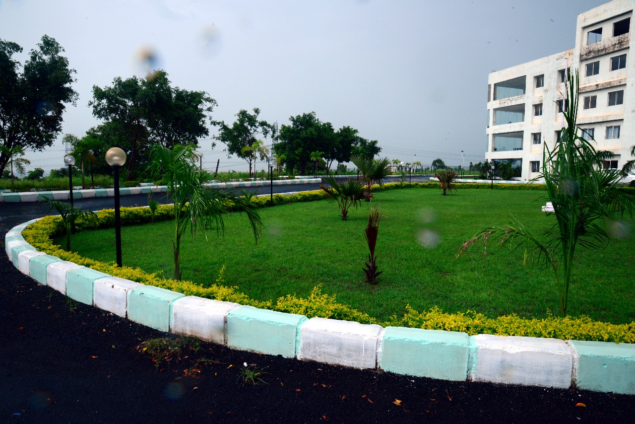 Lush Green
