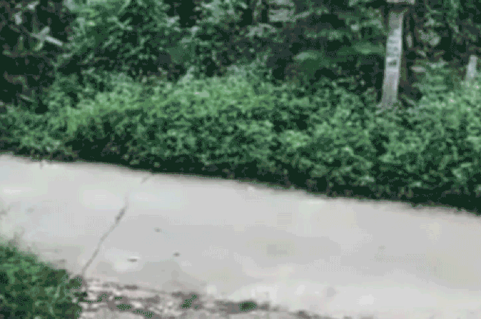 Một số khu vực ở Phú Thọ cảm nhận rung lắc khi xảy ra động đất tại Thác Bà - Tạp chí Thương Gia