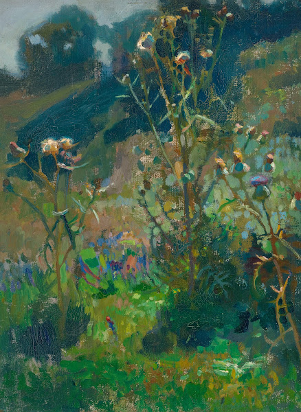 Thistles against the sun 1903