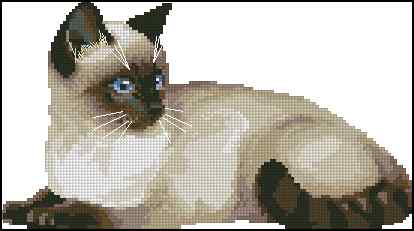 CMP 400216 Cat