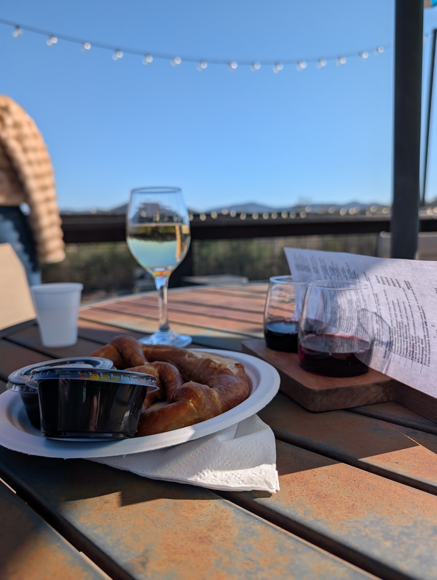 Ott Farms and Vineyard farm-to-table winery experience near Ellijay, Georgia