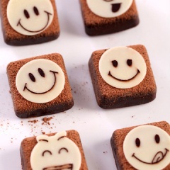 Cuối cùng chỉ việc rắc bột cacao, trang trí chocolate trắng hình mặt cười lên bánh nữa là xong rồi! Bánh chocolate hình mặt cười mềm ngon, chẳng cần đến cái lò nướng luôn. Các bạn có thể chọn chocolate có tỷ lệ ca cao khoảng 60~70% cho ngon nhất nhất. Cuối tuần các bạn hãy thử cách làm bánh chocolate hình mặt cười này để đãi cả gia đình nha.