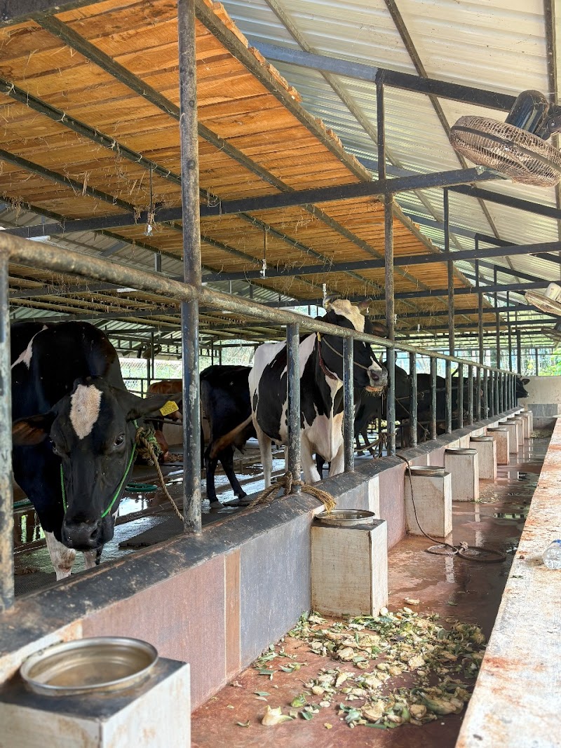 Campus Farm – View 3