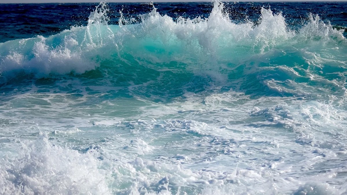 피부양자 자격 조건 변화가 한국 사회 가족 권력 구조에 미친 영향 비교