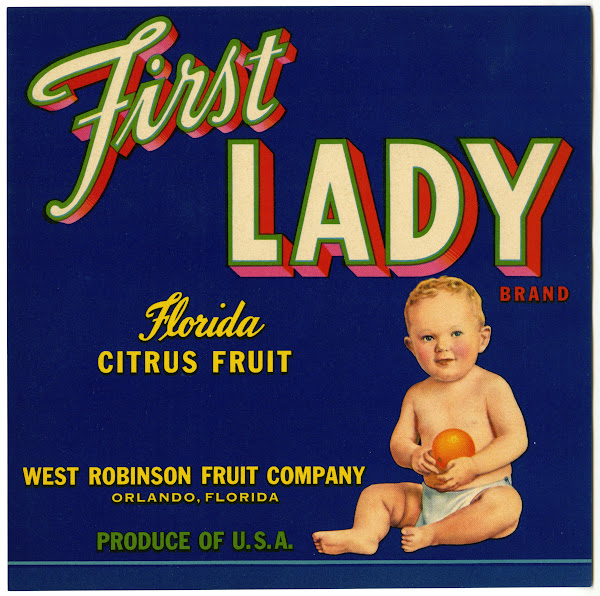 First Lady Brand Florida Citrus Fruit Label 1930 1950