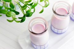 Sau khi sữa đã đông thì xếp vào tủ lạnh, chờ vài giờ để làm lạnh sữa chua là có thể ăn. Không nên ăn liền sữa chua vừa đông vì lúc này vị chua của sữa chưa được ngon lắm, bắt buộc phải để lạnh vài tiếng rồi ăn mới ngon được.