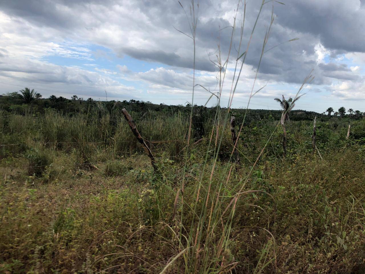 Fazenda em Presidente Juscelino-MA 4