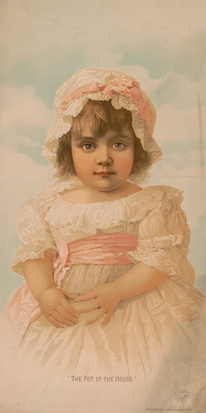 The pet of the house 1886