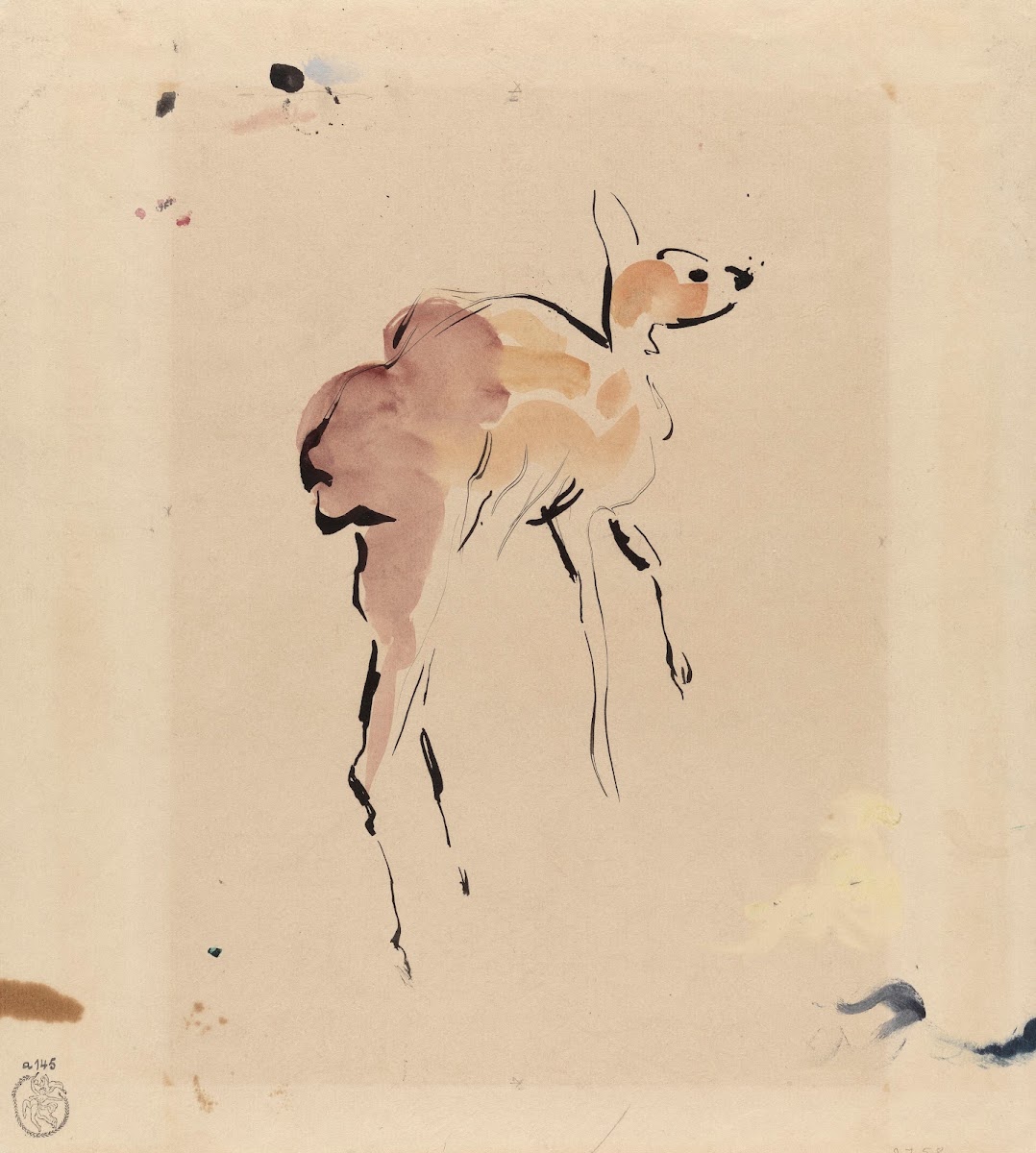 Young Deer