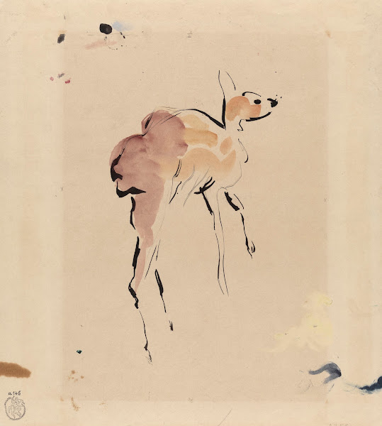 Young Deer