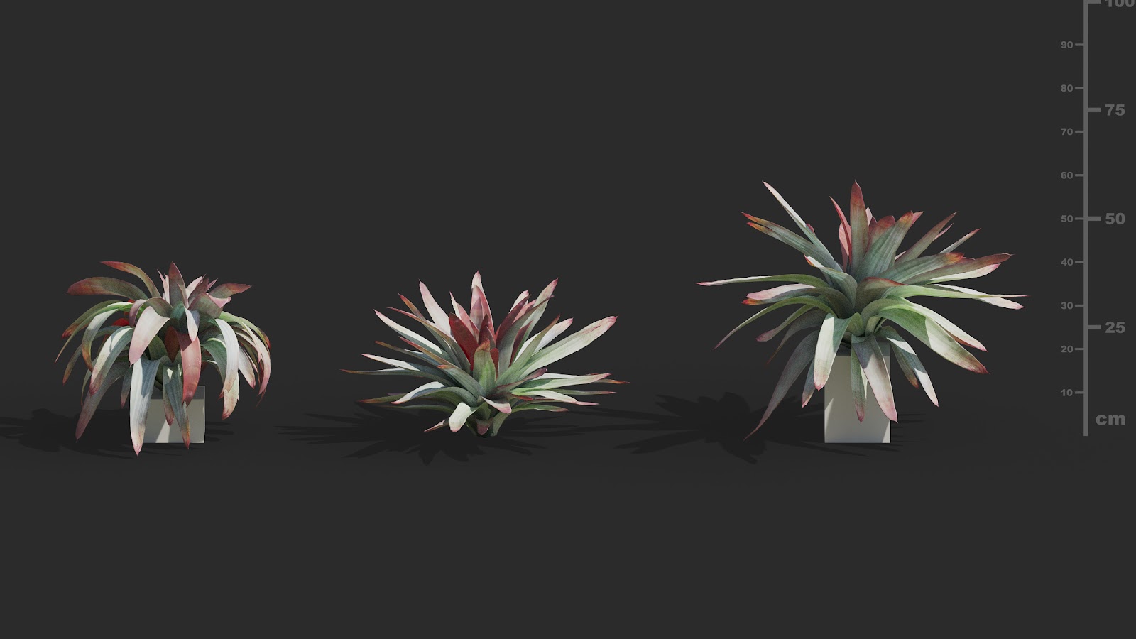 Maxtree - Plant Models Vol.72