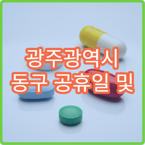 광주광역시 동구 공휴일 및 대체 공휴일 문 여는 병원 찾기