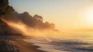 Beach Wallpaper