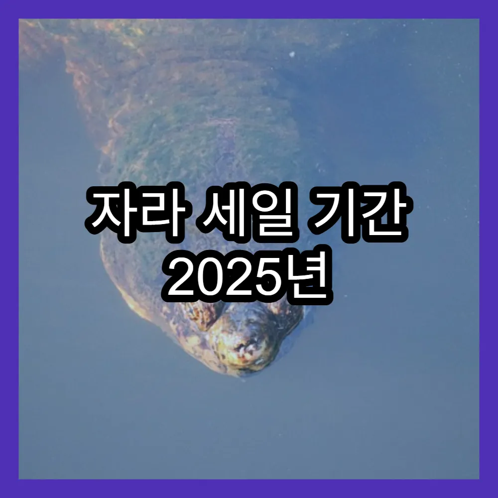 자라 세일 기간 2025년 추석 자라키즈와 자라베이비 신상 할인
