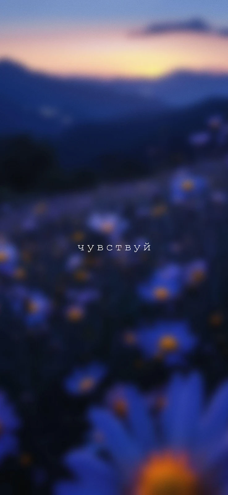 Blurred Flower Field At Sunset - Bokeh Photography 2K iPhone Wallpaper (1474x3195)