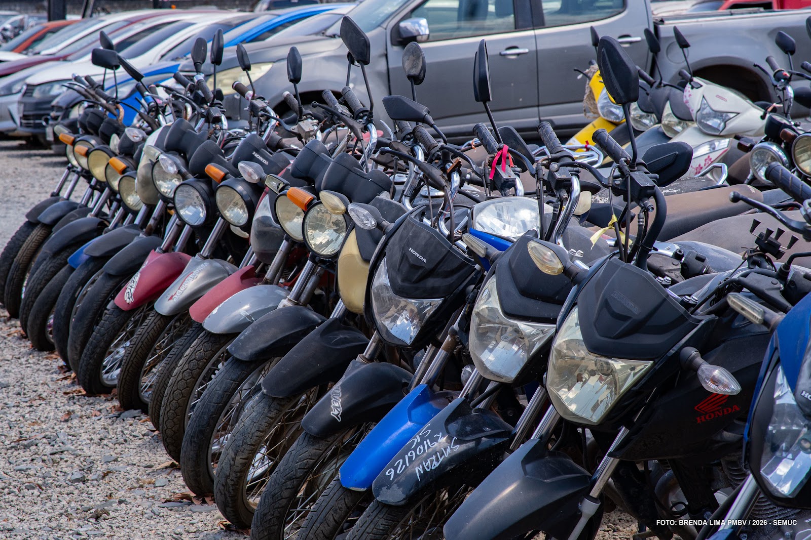 Funcionário da prefeitura inspeciona carros em leilão de veículos em Boa Vista