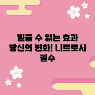 니트토시 효과, 겨울 건강, 니트토시 추천, 면역력 증진, 2023 건강 트렌드