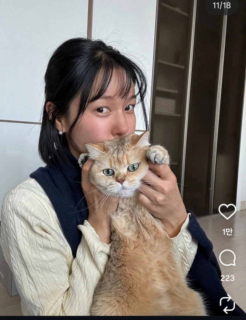 출처: 온라인 커뮤니티