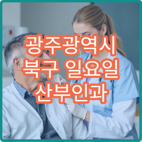 광주광역시 북구 일요일 산부인과 진료 여부 확인
