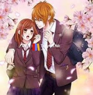 Đối Thủ Tình Trường