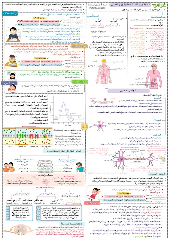 صورة الغلاف