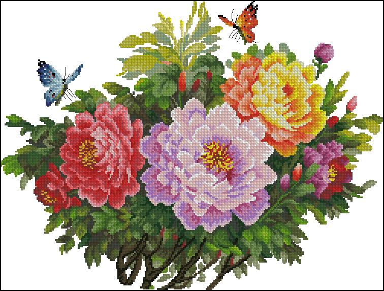 CMP 3719 Peony