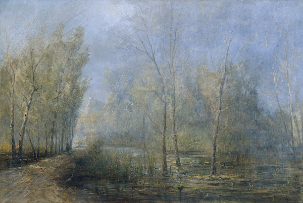 Donau Auen 1898