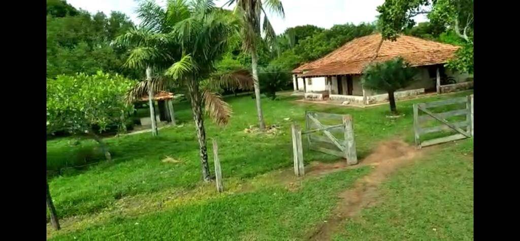 Fazenda no Município de São Félix do Araguaia - MT 3