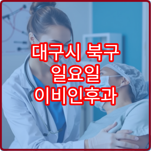 대구시 북구 일요일 이비인후과 진료 가능한 병원 정보를 담은 안내