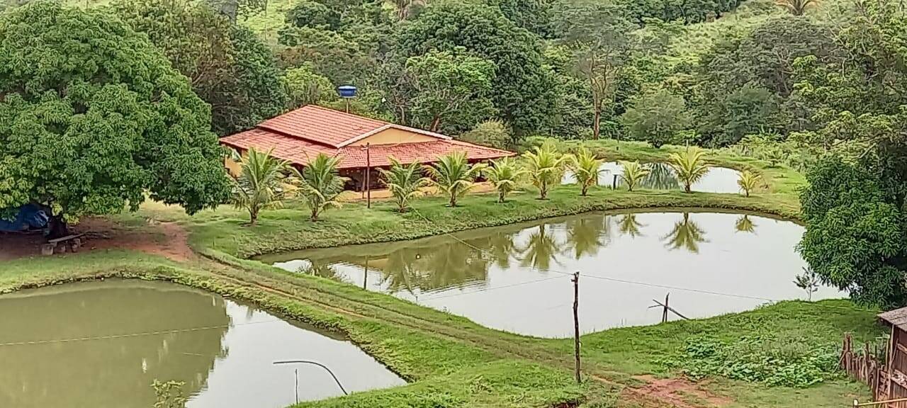 Fazenda em Palmeirópolis-TO 9
