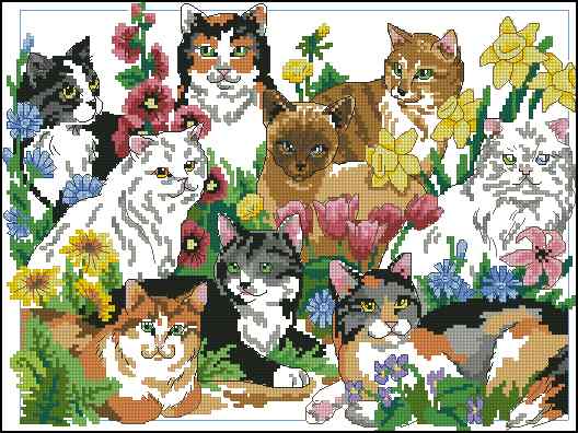CMP 400355 Garden Cats