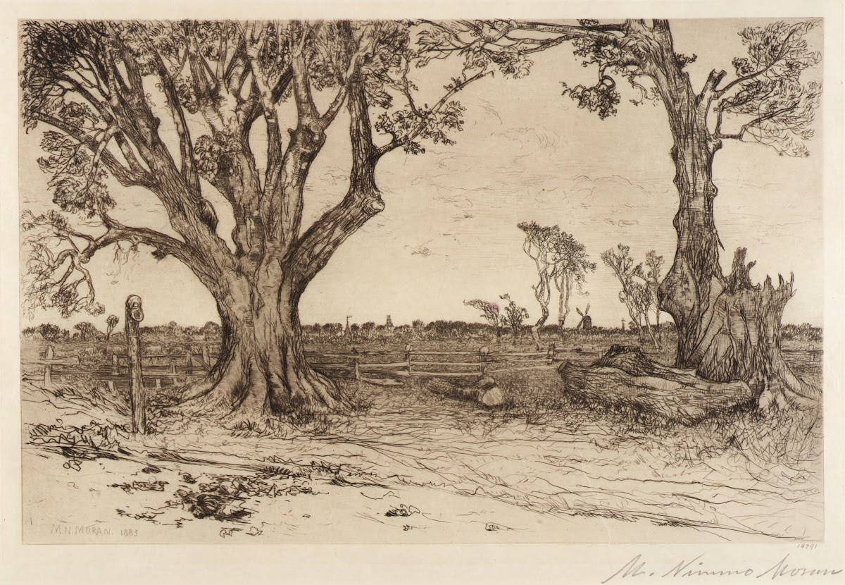 Old LindensNear Easthampton 1885