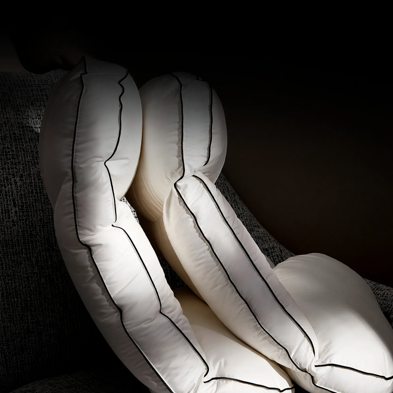 Goose Down Pillow, Rectangle, 48×74 cm