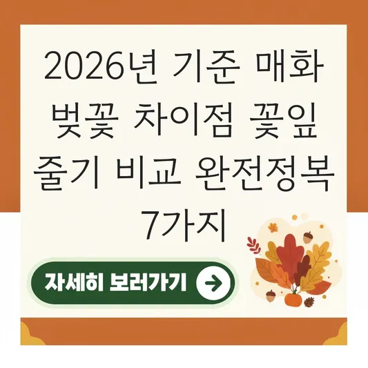 매화 벚꽃 차이점 꽃잎 줄기 비교