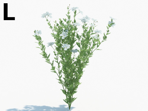 Maxtree - Plant Models Vol.3