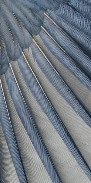 Google Pixel 7A, Pixel Tablet, Pixel 6A, Google, Google Store Full HD iPhone Wallpaper Background