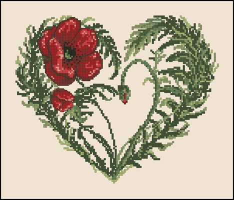 CMP 390211 Pattern