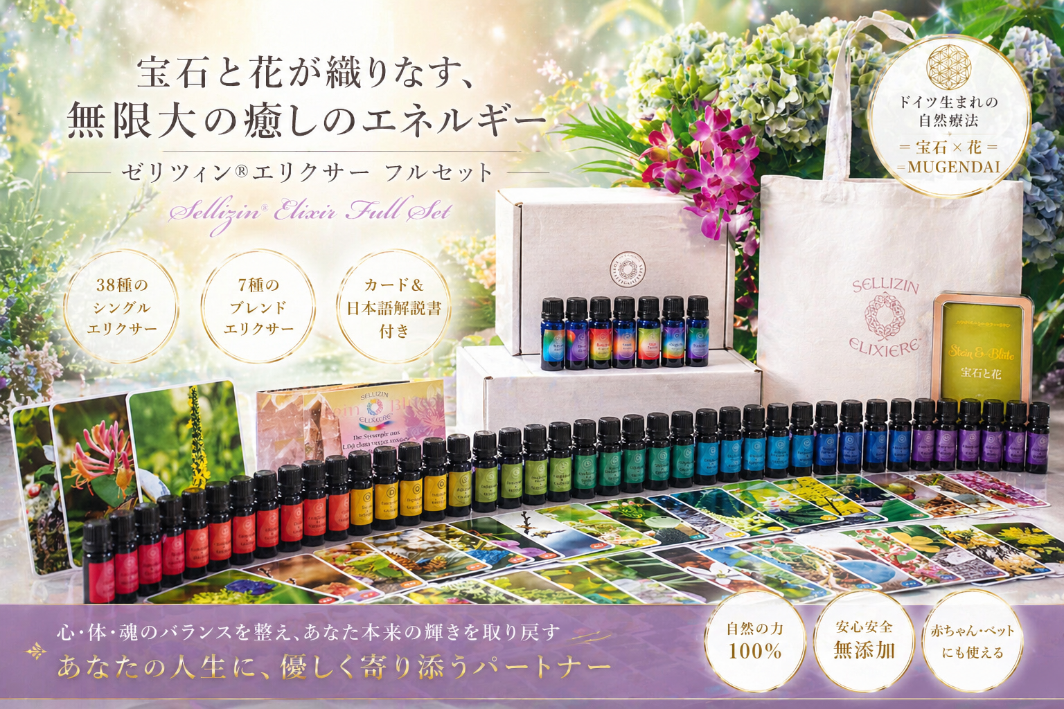 ゼリツィンフルセット